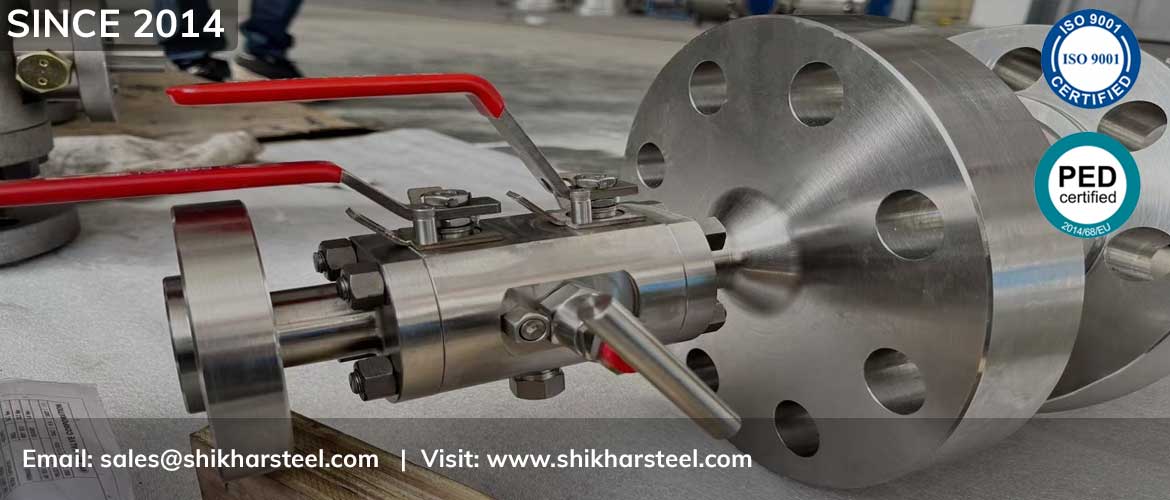 Duplex Valve