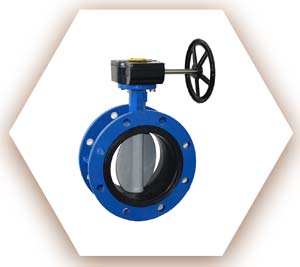 Flange Type Butterfly Valve