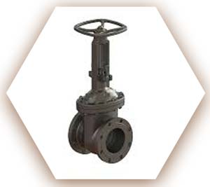 Flexible Wedge Gate valve