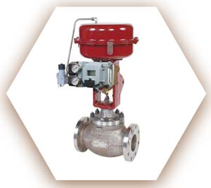 Globe Control Valve