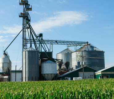 Agriculture Industry