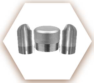 Hastelloy Threaded Plug