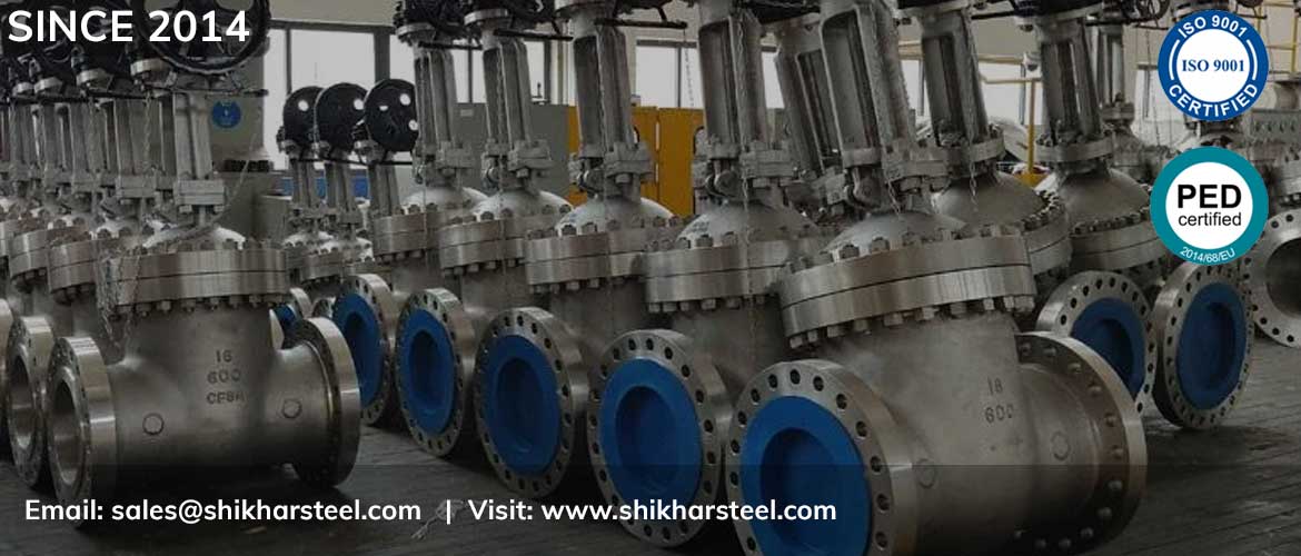 Hastelloy Valve