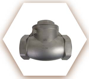 Horizontal Check Valve