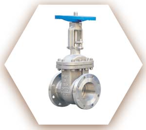 Inconel 601 Gate Valve