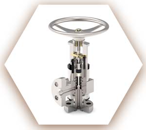 Inconel Alloy 600 Angle Valve