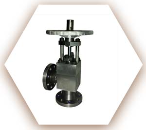 LTCS Angle Valve