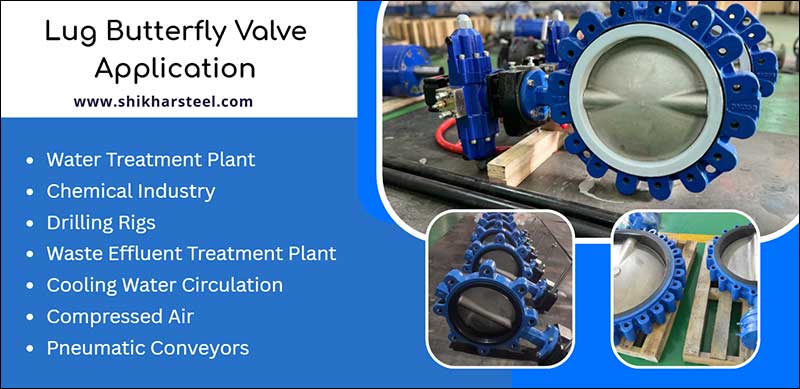 Lug Butterfly Valve Application