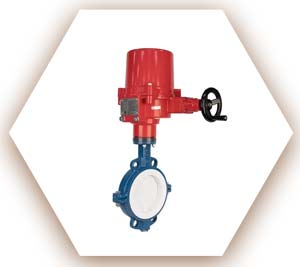 Lug Style with Electric Actuator