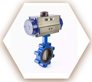 Lug Style with Pneumatic Actuator
