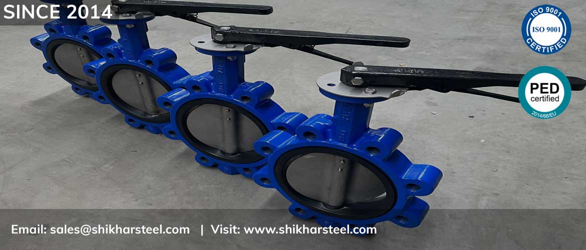lug type butterfly valve