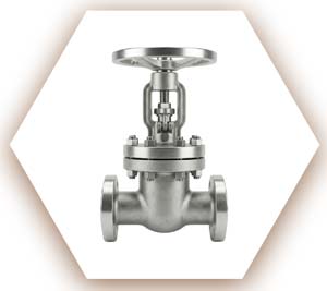 Monel 400 Gate Valve