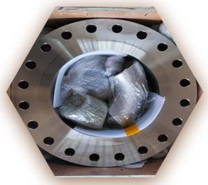 Monel Alloy Slip On Flange