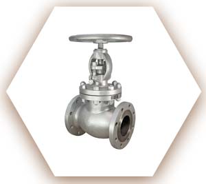 N10276 Diaphragm Valve