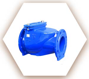 Non Return Valve
