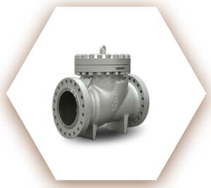 Polished Nickel Check Valve