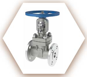 Pure Nickel Gate Valve