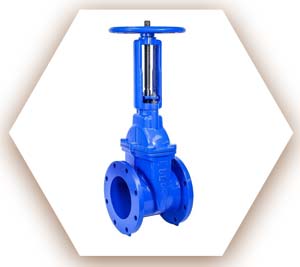 Resilient Gate valve 