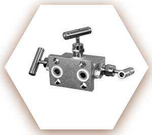SA 182 F91 Manifold Valve