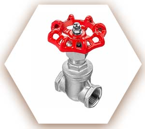 SA182 F304 Gate Valve