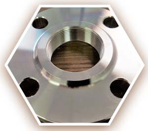 SA182 F316 Threaded Flange