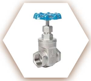 SA182 F316L Gate Valve