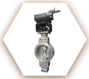 SAF 2205 Butterfly Valve