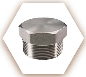 SDSS 2507 Threaded Plug