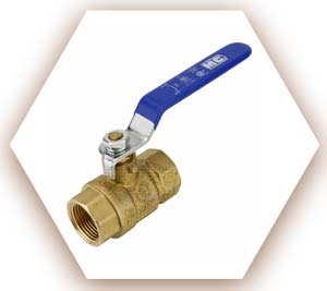 Shut Off Valve 