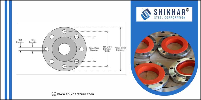 Size Range of 316L SS Slip On Flange