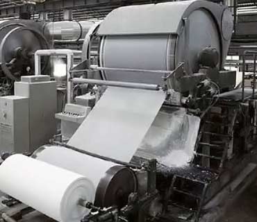 Pulp and Paper Industry