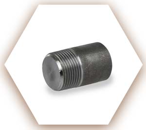Socket Weld Round Head Plug