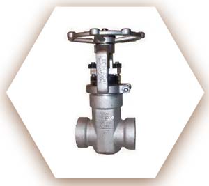 Split Wedge Gate valve