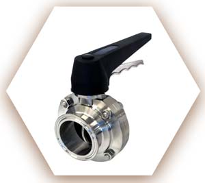 SS 304L Butterfly Valve