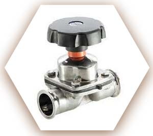 SS 304L Diaphragm Valve