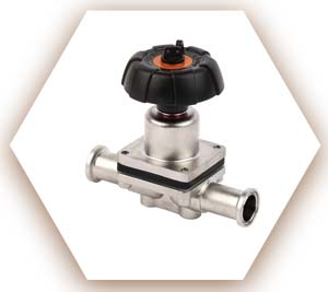 SS 316L Diaphragm Valve