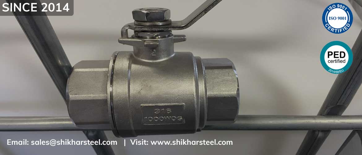 Stainless Steel 316 Valve