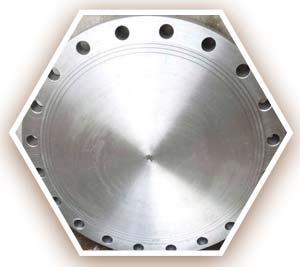 Stainless Steel 316L Blind Flange