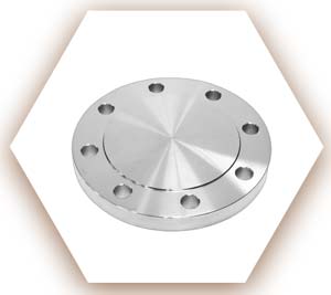 Stainless Steel 317L Blind Flange