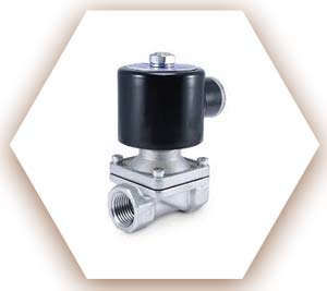 Stainless Steel F316L Solenoid Valve