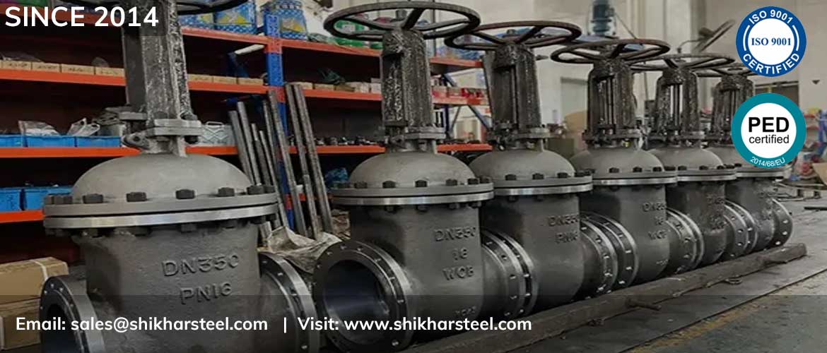 lug type butterfly valve