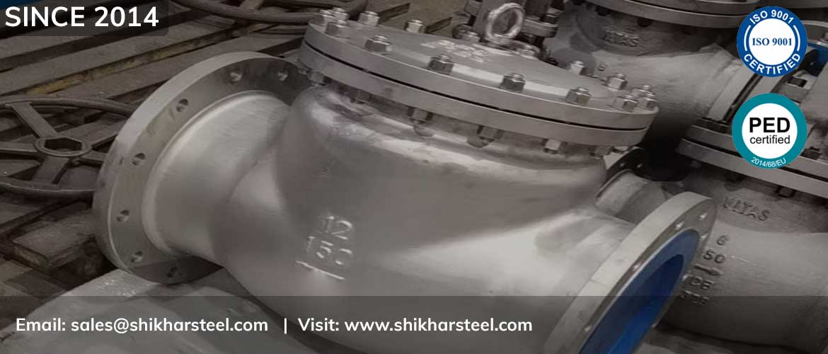 Stainless Steel Swing Check Valve