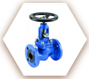 Steam Globe Valve