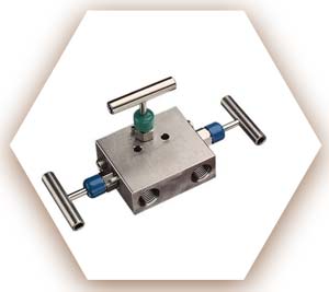Super Duplex Manifold Valve