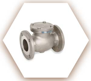 Super Duplex SS Check Valve
