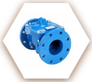Swing Flex Check Valve