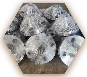 Ti Grade 2 Weld Neck Flange