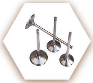 Titanium Engine Valves