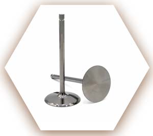 Titanium Intake Valves