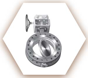 Triple Offset Butterfly Valve